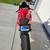 2022 Ducati Panigale V4 5 thumbnail