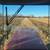 Custom Tillage 5 thumbnail
