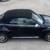 2013 VW Beetle Convertible 50's Edition 24 thumbnail