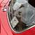1949 HUDSON COUPE. POWERED BY MOPAR 440 C.I. CHRYSLER ENGINE 11 thumbnail