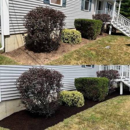 Mulch Installation 1