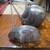 Assorted Golf clubs Ping Callaway Medicus 3 thumbnail