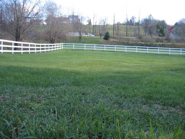 BUDGET-FRIENDLY HORSE BOARDING DEAL (Stroudsburg)63487045345921121
