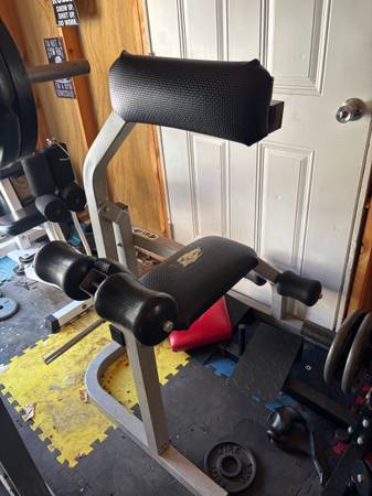 Plate loaded ab back machine 1