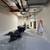 Drywall/taper/painter/Exterior/Interior/services 12 thumbnail