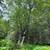 - Price Reduction - Undeveloped view lot 10 thumbnail