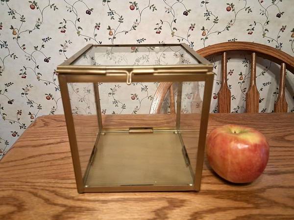 Square Glass Display Box 1