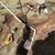 Same-day Sprinkler Repair / ***** Irrigation sprinklers 7 thumbnail