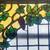 Antique Grape Vine Stained Glass Window 4 thumbnail