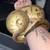 Female Ball python 1 thumbnail