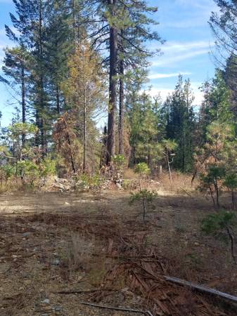 ¡Tierra recreativa por $4,100! ¡Acampa y extrae oro en este reclamo de 20 acres (Lakehead, CA)!63844738234881121