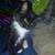 Kittens 1 thumbnail