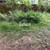 Landscaping and yard maintenance 13 thumbnail