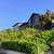 Beautiful 4 Bedroom 2 Bathroom home for rent 1 thumbnail