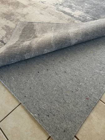Area Rug 1