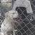 Galvanized dog pen 7 thumbnail