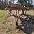 Chisel plow 1 thumbnail