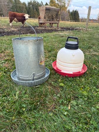 Chicken feeder and waterer 1