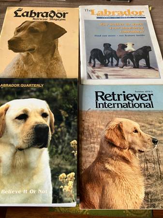 Vintage Labrador Retriever Magazines 1