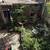 Large, Sunny Room in Columbia Heights Group House, $850 for Oct 31 12 thumbnail