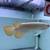 silver albino arowana 8 thumbnail