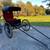 Beautiful Winesburg Carriage/Surrey 5 thumbnail