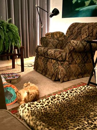 Swivel rocking chair 1