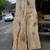 Wood Live Edge Slabs 17 thumbnail