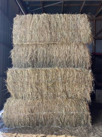 Large Square Bales 1