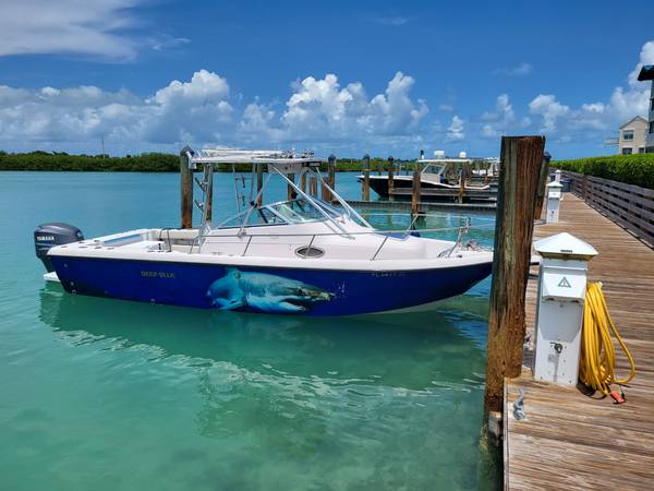 Proline 231 with trailer 1