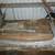 1984 Pontiac Fiero body parts 8 thumbnail