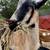 Nigerian Dwarf Goat Family~Sweet, Friendly, Lap Goats!  (Rehoming) 3 thumbnail