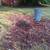 calmoperez yard work landscape 14 thumbnail