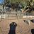 Corral sections power equip. 3 thumbnail