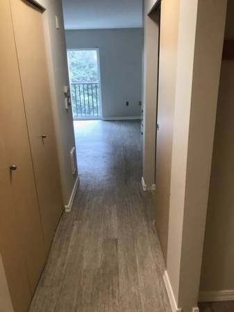 $1,500 / 432ft2 - Price Drop Studio in Eastlake (Eastlake, SLU, Amazon)63934419866371122