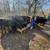 Angus bred cattle 6 thumbnail