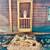 Your dream log cabin with a classic red metal roof is here! 4 thumbnail