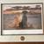 California Waterfowl framed prints 6 thumbnail