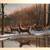 First Snow - Framed Wildlife Print 1 thumbnail