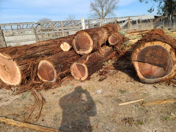 REDWOOD LOGS FOR SALE - $100 (novato)63471437825027122