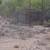 50 Acres 13 thumbnail