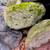 Rocks & Stones for Ponds & Gardens - Many Rare Colors 11 thumbnail