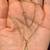 14K Yellow Gold necklace with Beautiful Pendant in shape of a Leave 18 thumbnail