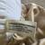 Victorian Stuffed Bear 3 thumbnail