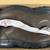 NORTH SIDE SOUTH PORTS  SIZE 13 NEW IN BOX “LOCATION/HOURS OF OPERATIO 7 thumbnail