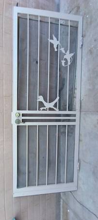 Security Door 1