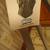 Music Stand Cello-Bass Ingles 2 thumbnail
