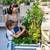 2 Pack Galvanized Raised Garden Beds with Legs 2 thumbnail