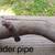 '06 Piaggio BV 250 parts - most in exellent condition 14 thumbnail