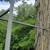 Tree stand 4 thumbnail